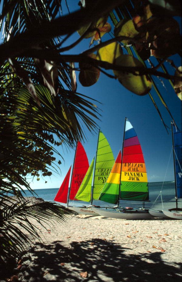 Hobie Cats with red, green and rainbow-striped sails lined up on Smathers Beach, Key West, framed by palm fronds
